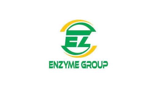 Enzyme Group