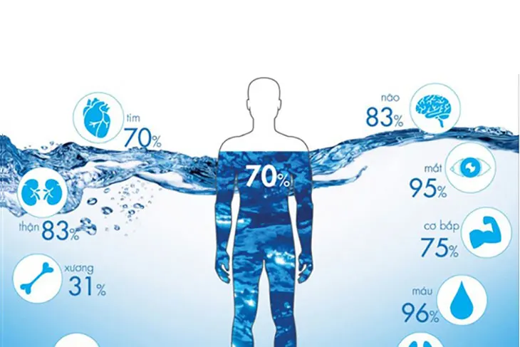Vai trò của nước đối với cơ thể