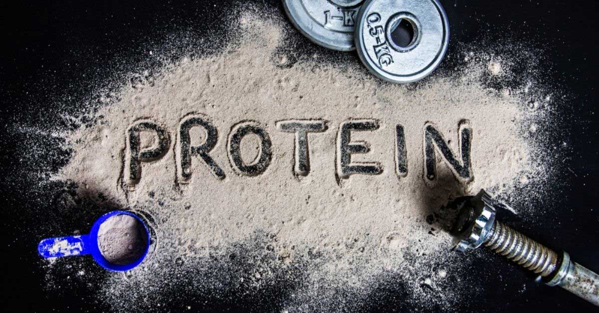 Thành phần Protein trong hỗ trợ tăng cơ Mutant Amino