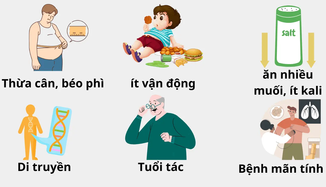 Những con đường dẫn đến cao huyết áp