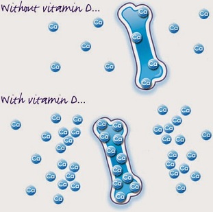 Vitamin D3