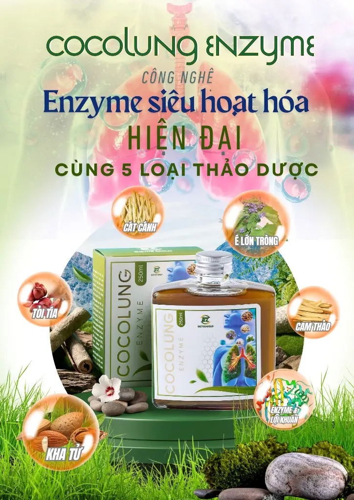 Thành phần của Cocolung Enzyme