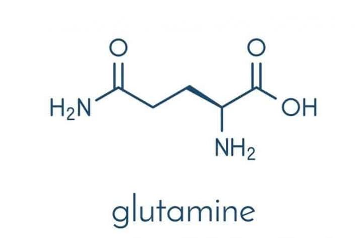 Thành phần Glutamine trong Bổ sung năng lượng Mutant Glutamine