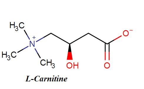 Thành phần của Mutant L-Carnitine 1500