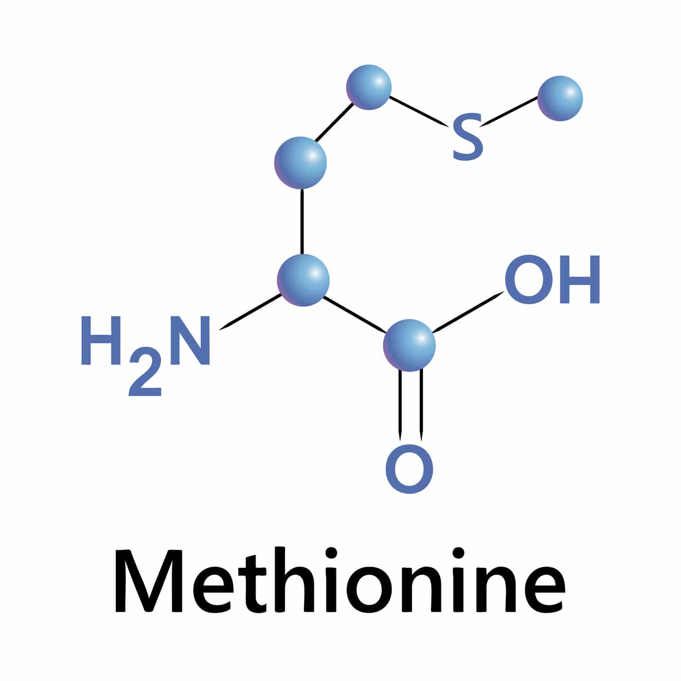 Methionine là gì?
