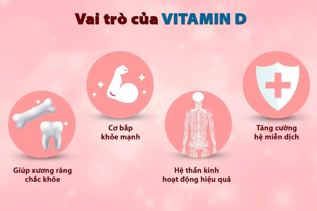 Vai trò của vitamin D3 trong việc bổ sung Canxi