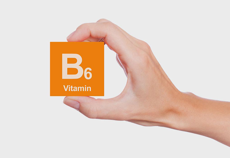 Vitamin B6 trong Mutant ZM8+