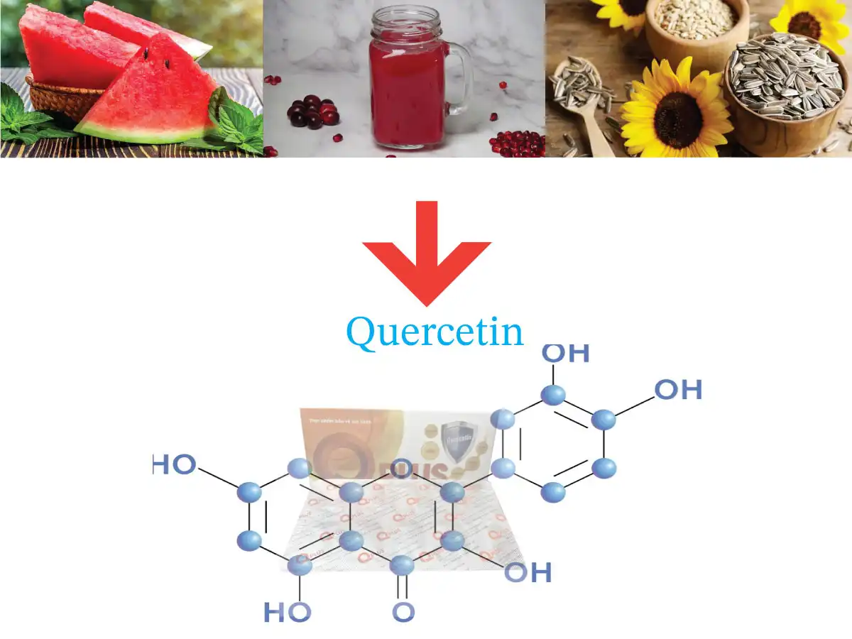 4 cách bổ sung quercetin cho cơ thể