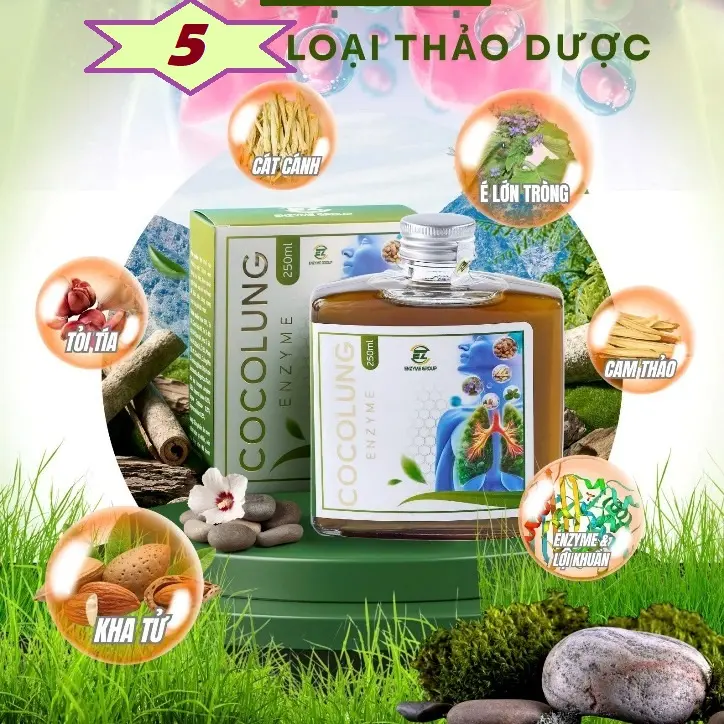 Cocolung Enzyme – Xoa dịu cơn ho, bảo vệ đường hô hấp - 1
